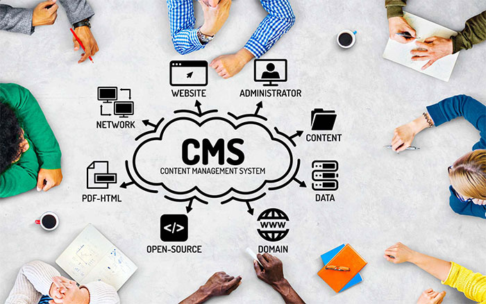 CMS Development